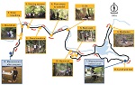 Especial Bosques y salud. 森林浴 Shinrin-yoku. Efectos de relajación fisiológica de los baños de bosque