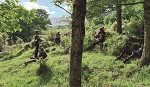 Especial Bosques y salud. BiBos 6.0. Bienestar y Bosques en Navarra. Un puente entre la naturaleza y la salud