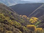 Especial Bosques y salud. Los caminos del bosque