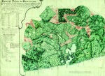 La Administración forestal española en Puerto Rico, Cuba y Filipinas (1853-1898). Breve panorama histórico
