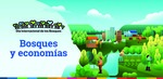 Especial "Bosques y economías". Presentación