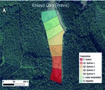 Especial "Bosques y economías". Economía circular en los montes: fertilización sostenible para cultivos forestales