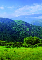 Especial "Bosques y economías". Opinión. Activar la gestión forestal para conservar y mejorar los montes y potenciar la economía rural