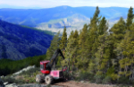 Actualidad: Madrid Forestal 2026-2030. Una hoja de ruta ejecutiva para la gestión forestal en la Comunidad de Madrid