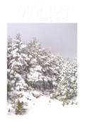Revista Montes, nº 78